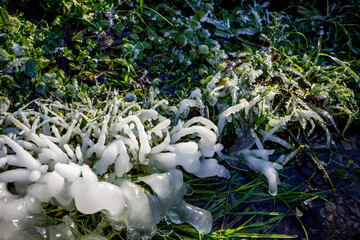 Beautiful icy spring in sunny day, close-up ice growths