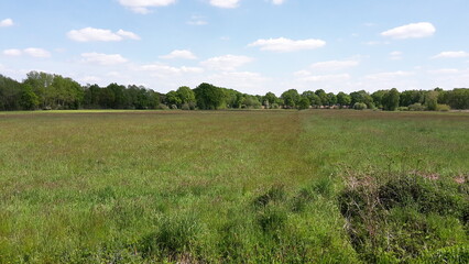 Obraz premium Landschaft