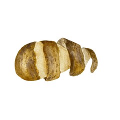 Potato spiral brown peel fresh watercolor sketch