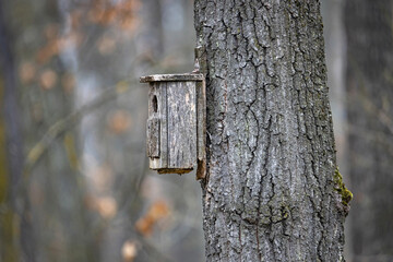 Natural handmade wood birdhouse on tree that integrate well into the landscape