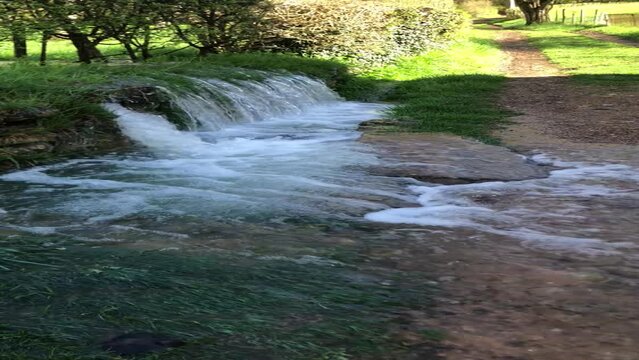 Torrent dans une for&ecirc;t.