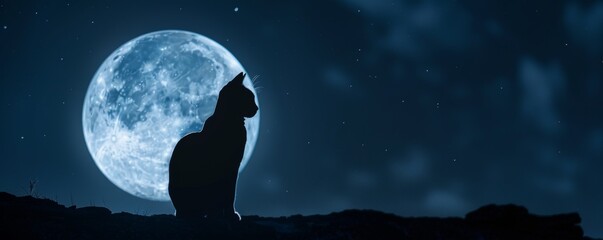 Silhouette of a cat against a full moon at night