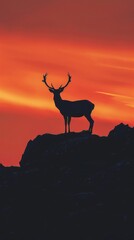 Silhouette of a deer at sunset on a mountain