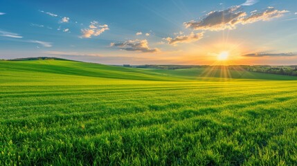 Fototapeta premium Rolling Green Field With Background Hills
