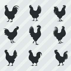 Hen Silhouettes vector bundle, Set of Cock silhouette collection