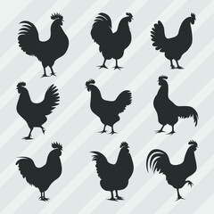 Hen Silhouettes vector bundle, Set of Cock silhouette collection