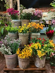 flowers in pots