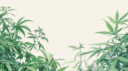Hanf Anbau Cannabis Hanfblatt Pflanze Medizin - obrazy, fototapety, plakaty