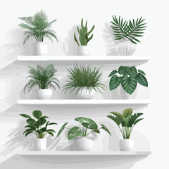 Collection of various tropical houseplants displayed in white ceramic pots
