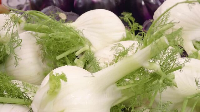 Aromatic Whisper: Fennel's Promise in the Spring Market Air