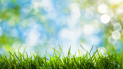 Fototapeta premium World environment day concept: green grass and blue sky abstract background with bokeh