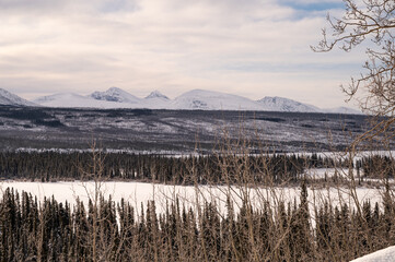 Yukon Winter