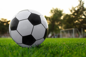 Balon de futbol soccer en una cancha profesional de pasto con una porteria al fondo  © Paul