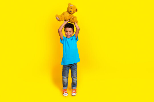 Full size photo of mixed race schoolboy with afro hair wear blue stylish t-shirt raising up teddy bear isolated on vivid yellow background