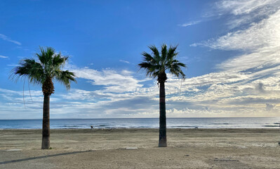 Strand mit zwei Palmen am Mittelmeer in Larnaka, Zypern