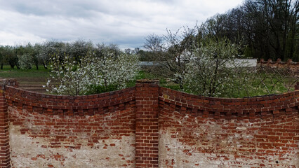 Ogrodzenie, płot z starej czerwonej cegły, obszary wiejskie, wiosna. © Stanisław Błachowicz