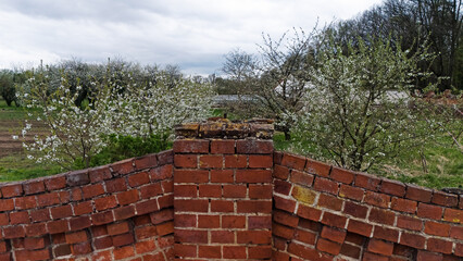 Ogrodzenie, płot z starej czerwonej cegły, obszary wiejskie, wiosna. © Stanisław Błachowicz