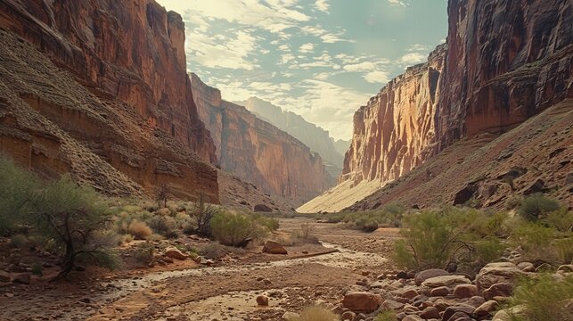 canyon background.