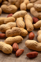 Delicious shelled peanuts on burlap. Peanut background - 775270544