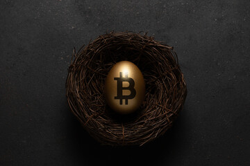 Golden egg with a bitcoin sign in nest on black background. Minimal investment concept.