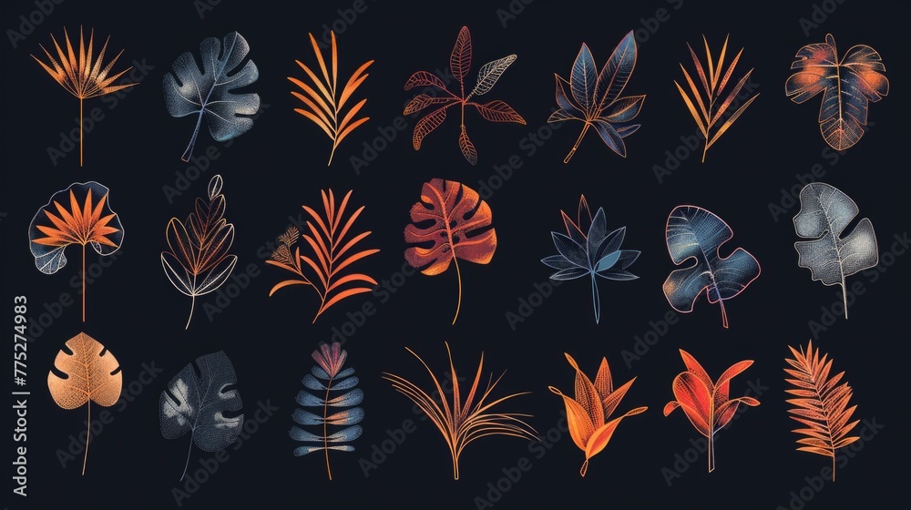 Poster various types of leaves on a dark backdrop, suitable for nature or environmental themes