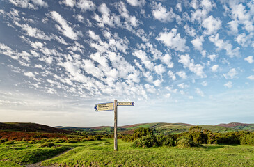 Sherberton Common below Mel Tor near Dartmeet, Dartmoor National Park, Devon, England. Signpost by...