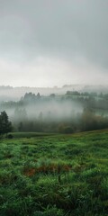 Fototapeta premium fog in the field landscape.