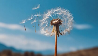 Dandelion Seeds Blowing in the Wind against a Clear Blue Sky, Symbol of Change and New Beginnings