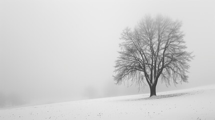 A tree in a field with snow on the ground