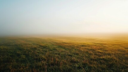 Fototapeta premium fog in the field landscape.