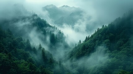  A mountain covered in green trees surrounded by fog and smog - obrazy, fototapety, plakaty
