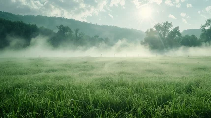 Zelfklevend Fotobehang fog in the field landscape. © Yahor Shylau 