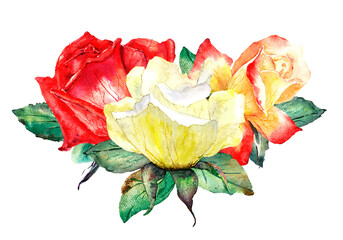 Colorful floral illustration with three bright roses and leaves