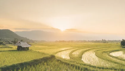 Foto op Canvas high panoramic view of beautiful green rice paddy fields in asia stunning travel background © joesph