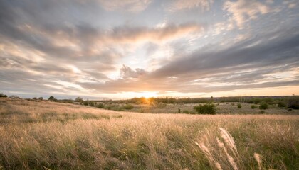 Fototapeta na wymiar beautiful sunset over the meadow