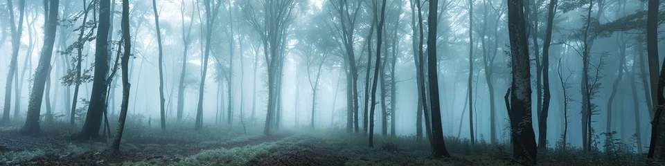 Foto op Aluminium fog in the forest landscape. © Yahor Shylau 