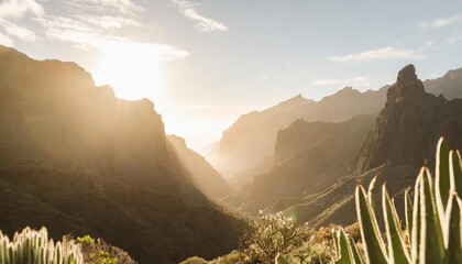 masca valley canary island tenerife spain scenic mountain landscape cactus vegetation and sunset...