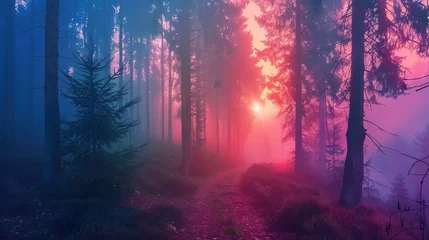 Zelfklevend Fotobehang fog in the forest landscape. © Yahor Shylau 