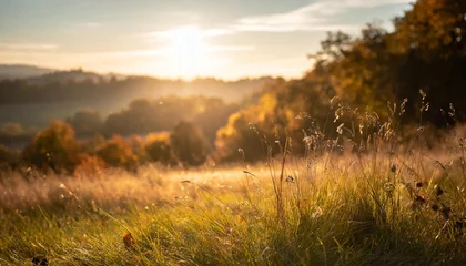 Tuinposter in the vintage landscape the summer sun bathes the green grass in a warm golden light creating a breathtaking bokeh effect against the autumn backdrop of colorful plants and a serene natura © joesph