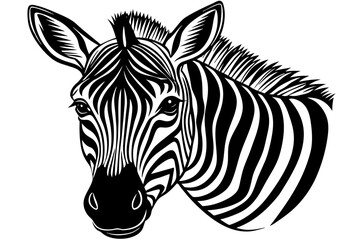 Fototapeta na wymiar head-of-a-friendly-looking-zebra vector illustration 