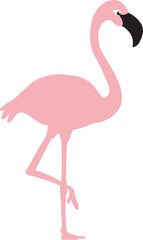 Flamingo Illustration