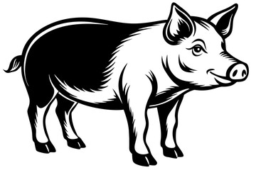 pig vector illustration