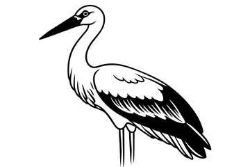 stork--on-a-white-background-vector illustration 