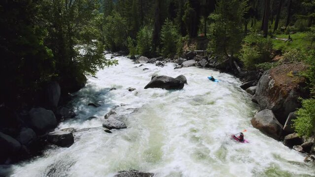 People Whitewater Kayaking in Green Forest Followed by Drone