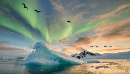  a group of birds flying over an iceberg under a sky filled with green and blue aurora aurora bores © joesph