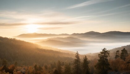 mountain forest at fog sunrise background