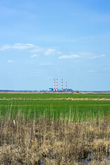 Fototapeta na wymiar Exterior view of a thermal power plant against a background of a green field under a blue sky