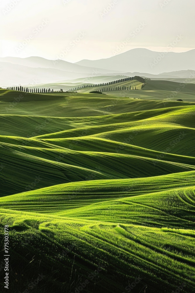 Poster A peaceful green field with a row of trees in the distance. Suitable for nature and landscape themes
