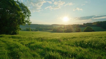 Beautiful sunset over a peaceful grassy field, perfect for nature backgrounds - Powered by Adobe