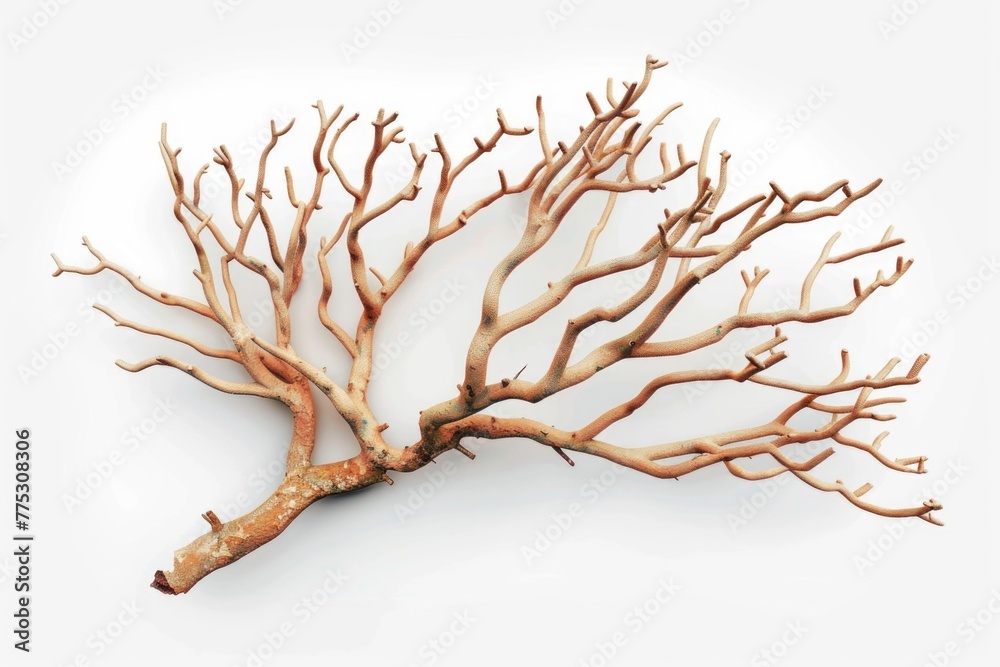 Poster A lone bare tree branch on a white surface. Suitable for various design projects